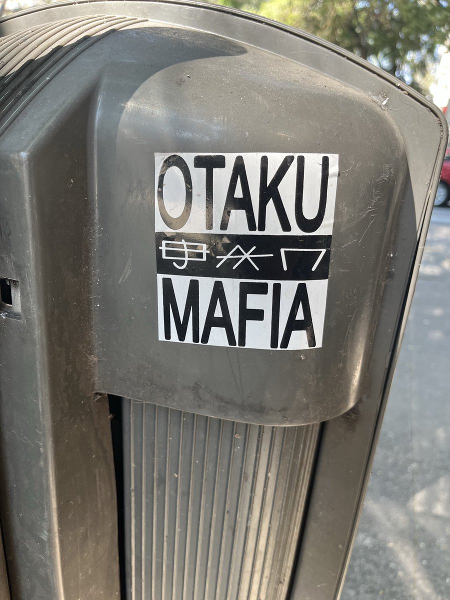 I have so many questions …