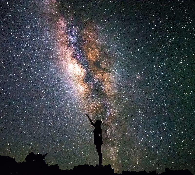 Erika  tweet media