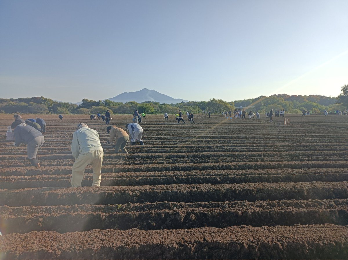 kimura11100's tweet photo. 11/8は小貝川ふれあい公園花畑の種まきに参加しました！
東部中の3年生も一緒で、とっても活気がありましたね。秋桜も満開で綺麗な景色に癒されました。
参加された皆さん、お疲れ様でした。 来春のポピーが楽しみです。 https://t.co/Yi4fRcXBfY
