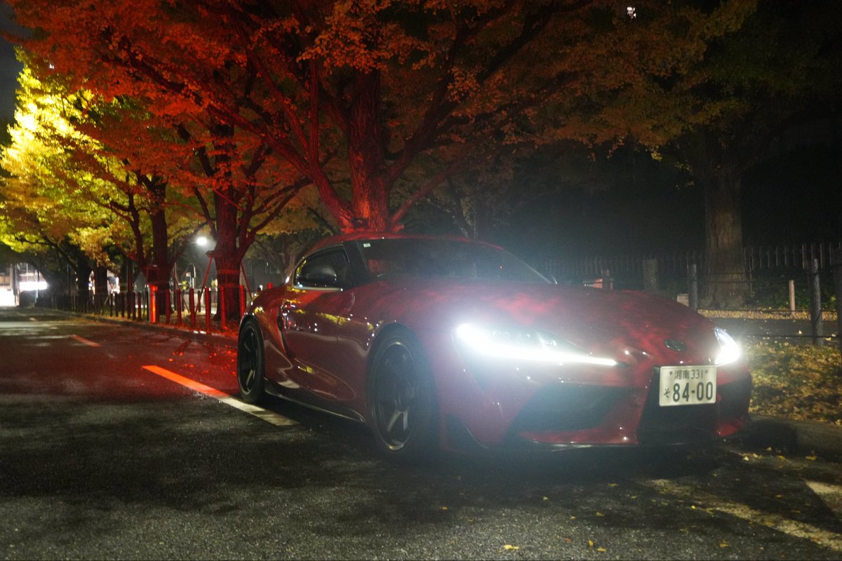 紅葉と愛車