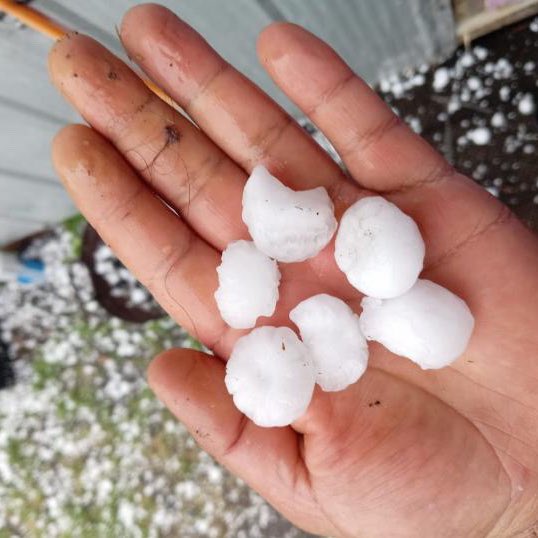 🔵AHORA | Reportes dan cuenta de caída de grandes granizos en el sector Santa Julia en la Ruta T-45 camino a Riñihue 

#LosRios #ValdiviaCL