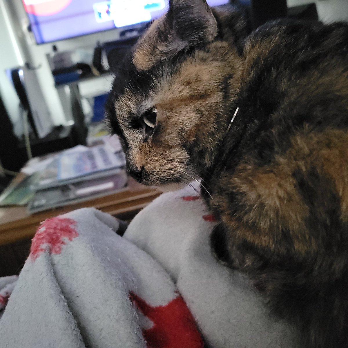 How dare you touch me when I'm sitting on you