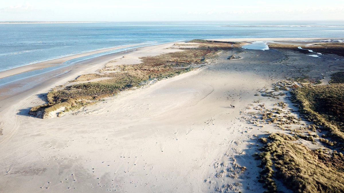 Gerrit Bart Volgers tweet media