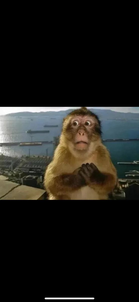 80. dakikadan sonra gs nin her ataginda