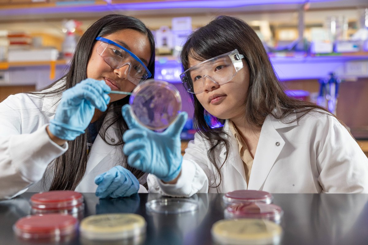 One application. 14 PhD programs. Infinite possibilities.

Explore your path to groundbreaking biomedical research through U-M’s Program in Biomedical Sciences (PIBS). Apply by Dec. 1: michmed.org/qNWnM