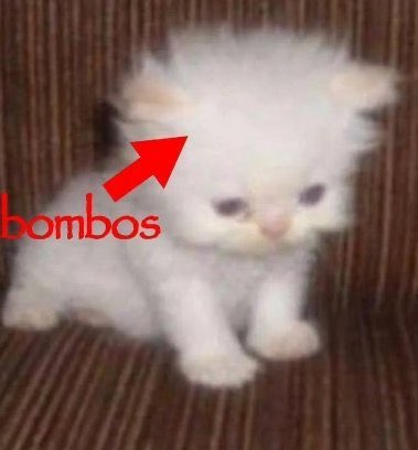 Biyokimyayı tekrar edicem derken tüm spotfyı bir tur tekrar ettim