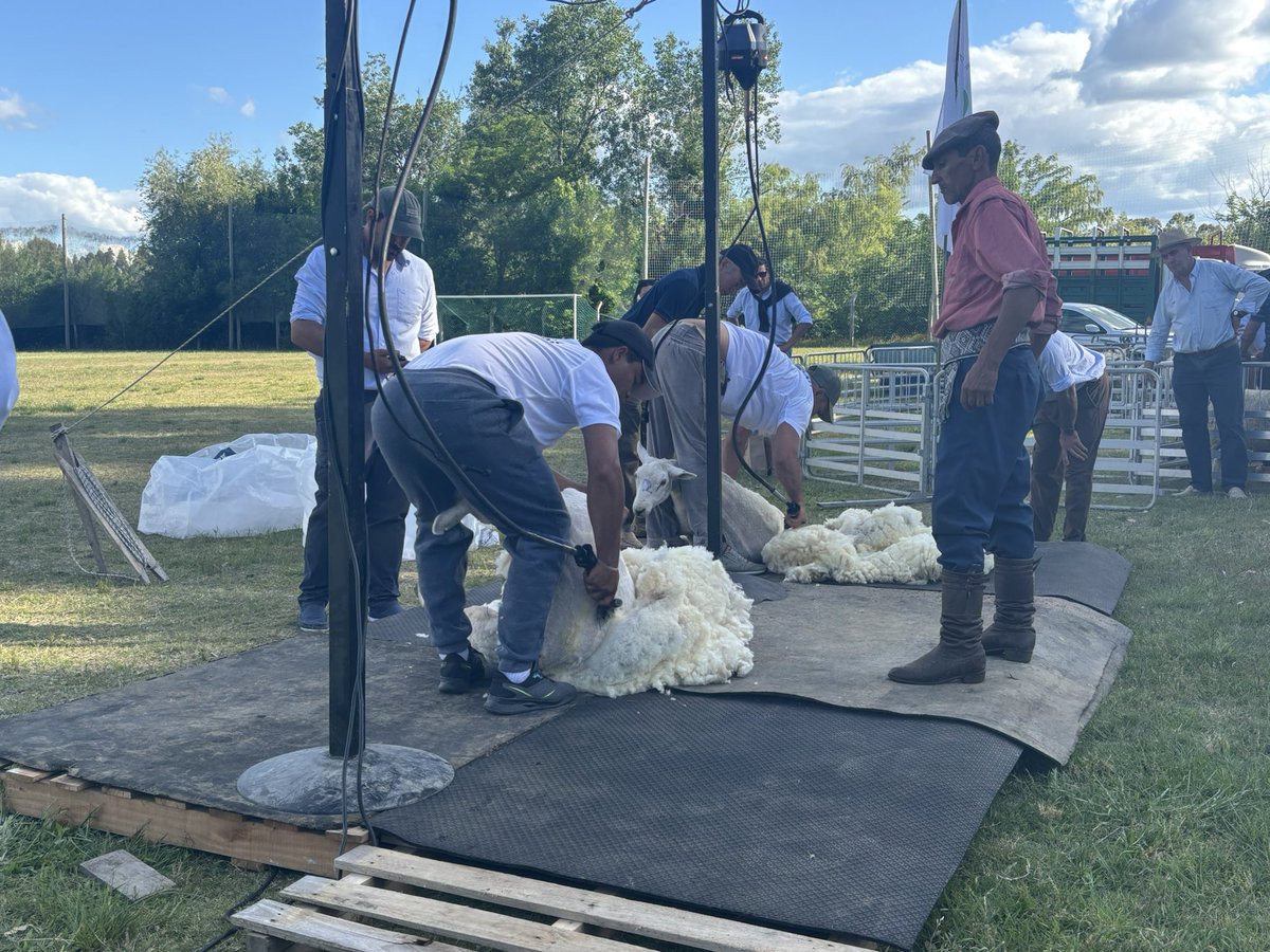 Estrategia Productiva tweet media