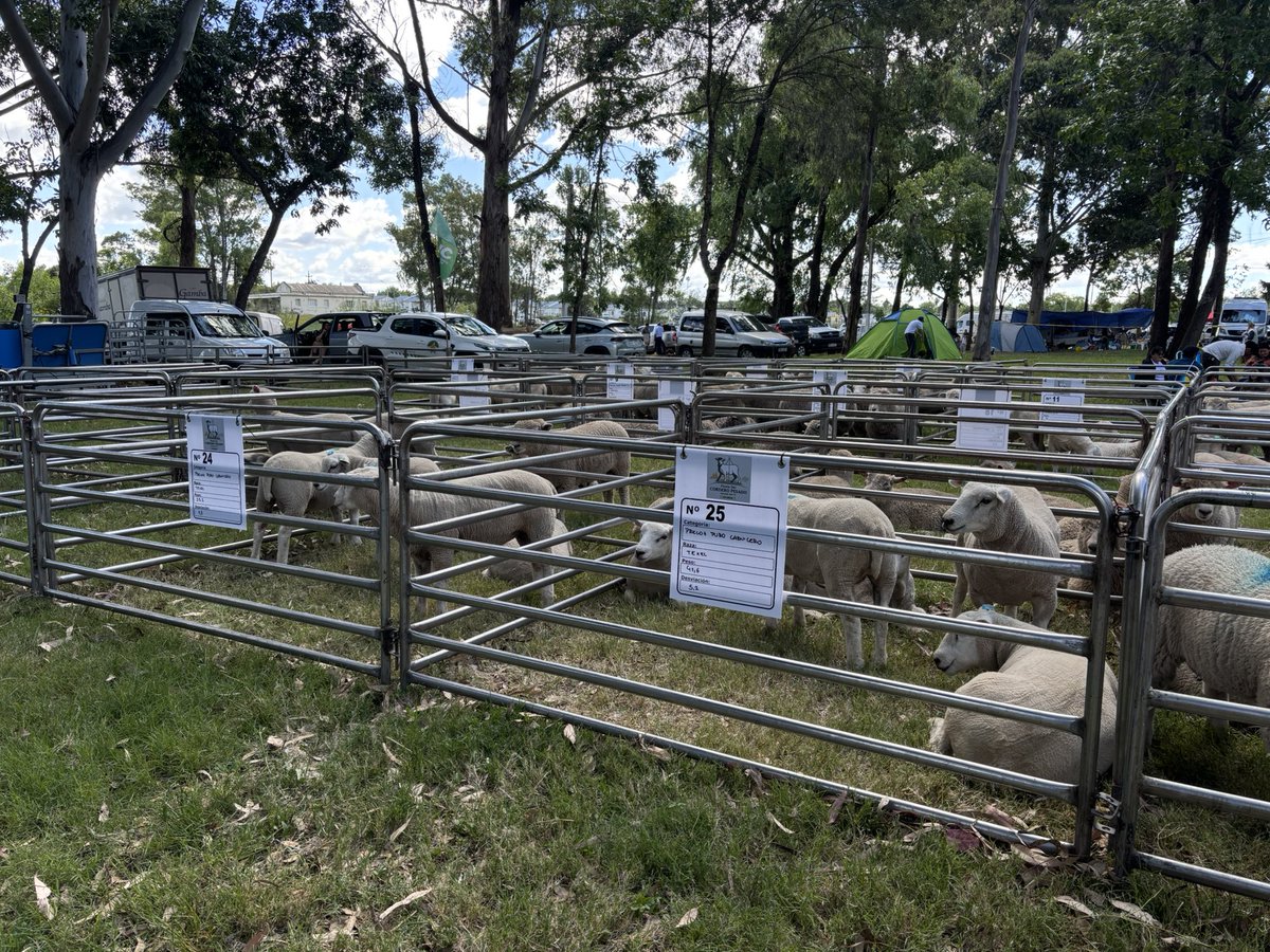 Estrategia Productiva tweet media