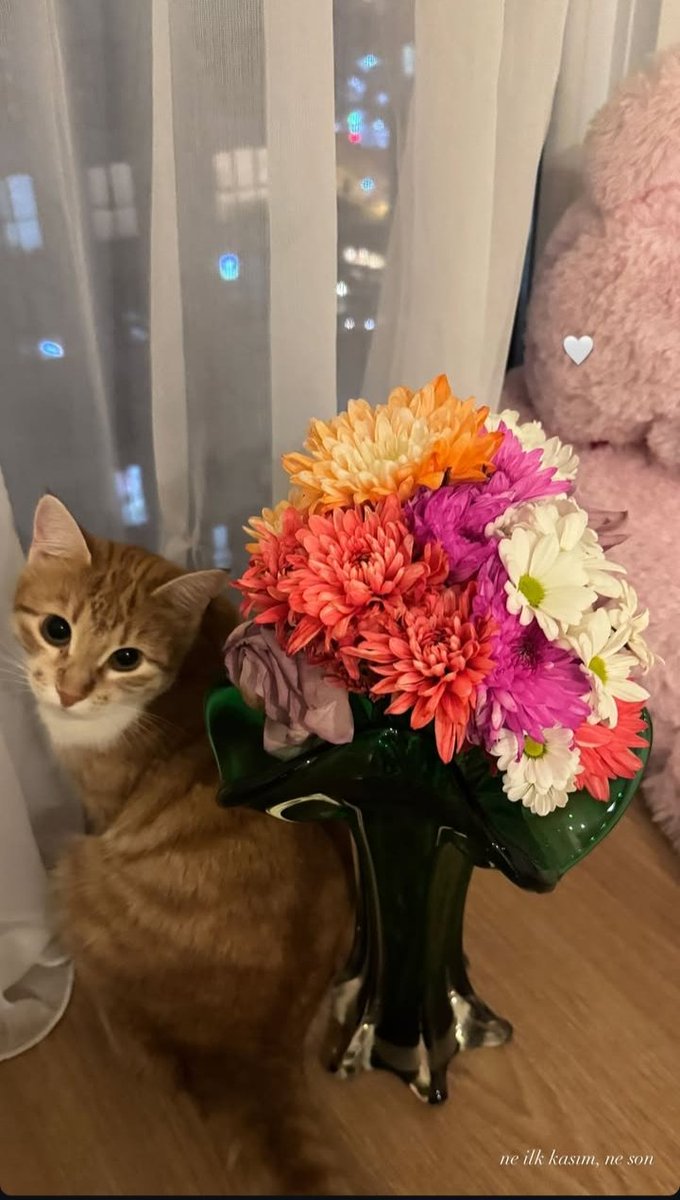 Lili 🥹 #NihleKopan