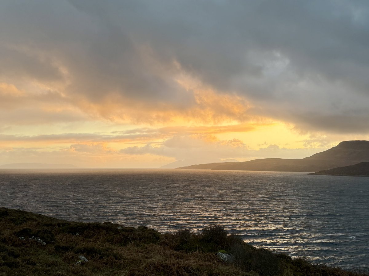 Nick Ray tweet media