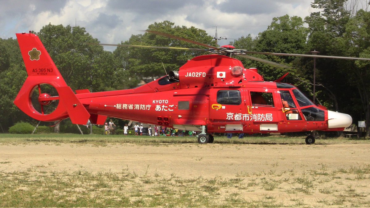 #ドーファンを愛でる会