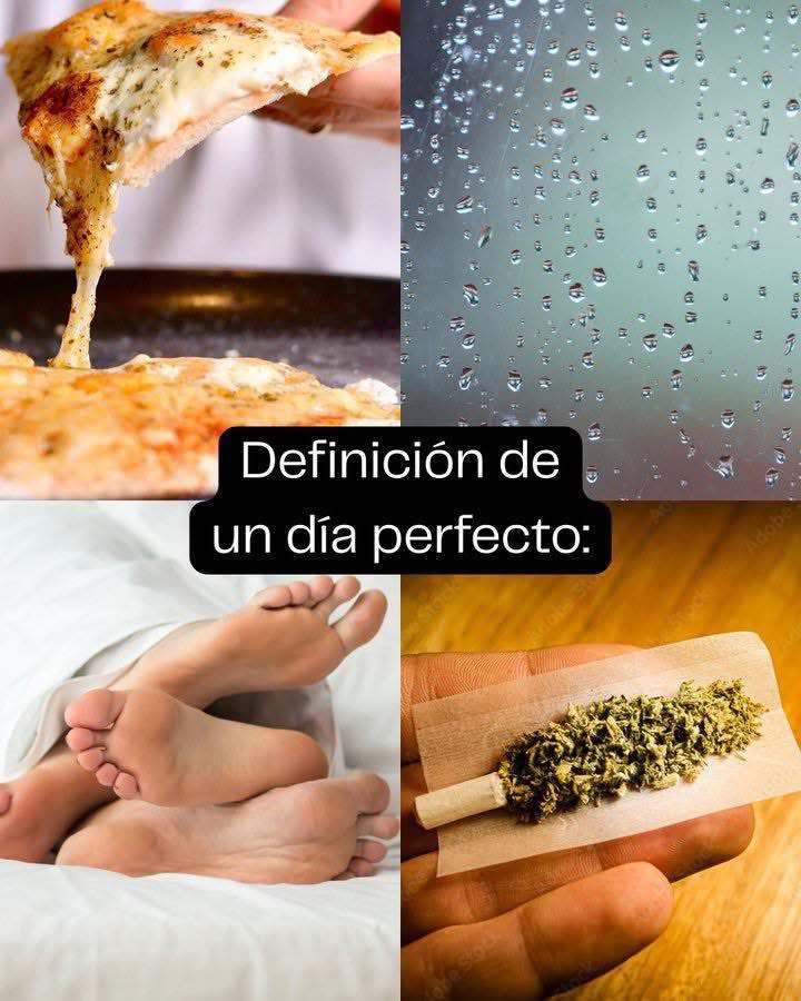 Angel Artesano ॐ (@angeel_artesano) on Twitter photo 