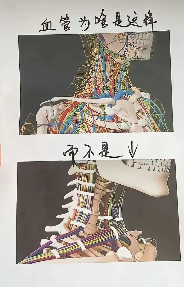 作为一名电工来说，下面的布线看的舒服多了 😂