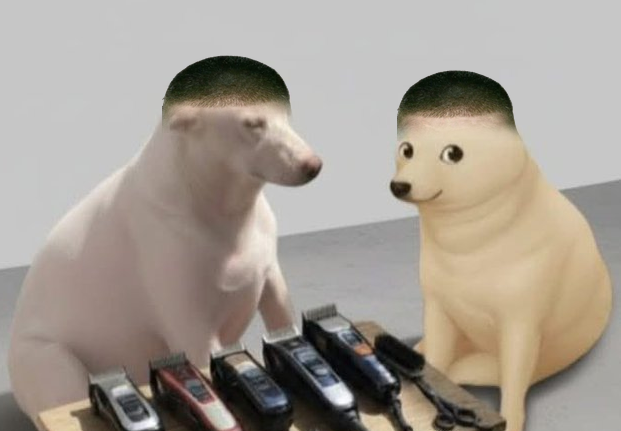 wigger pig haircut is becoming trendy... looks good on pretty much anyone