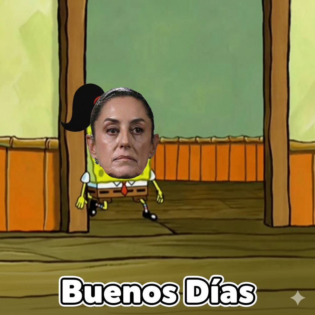 PULSO POLÍTICO tweet media