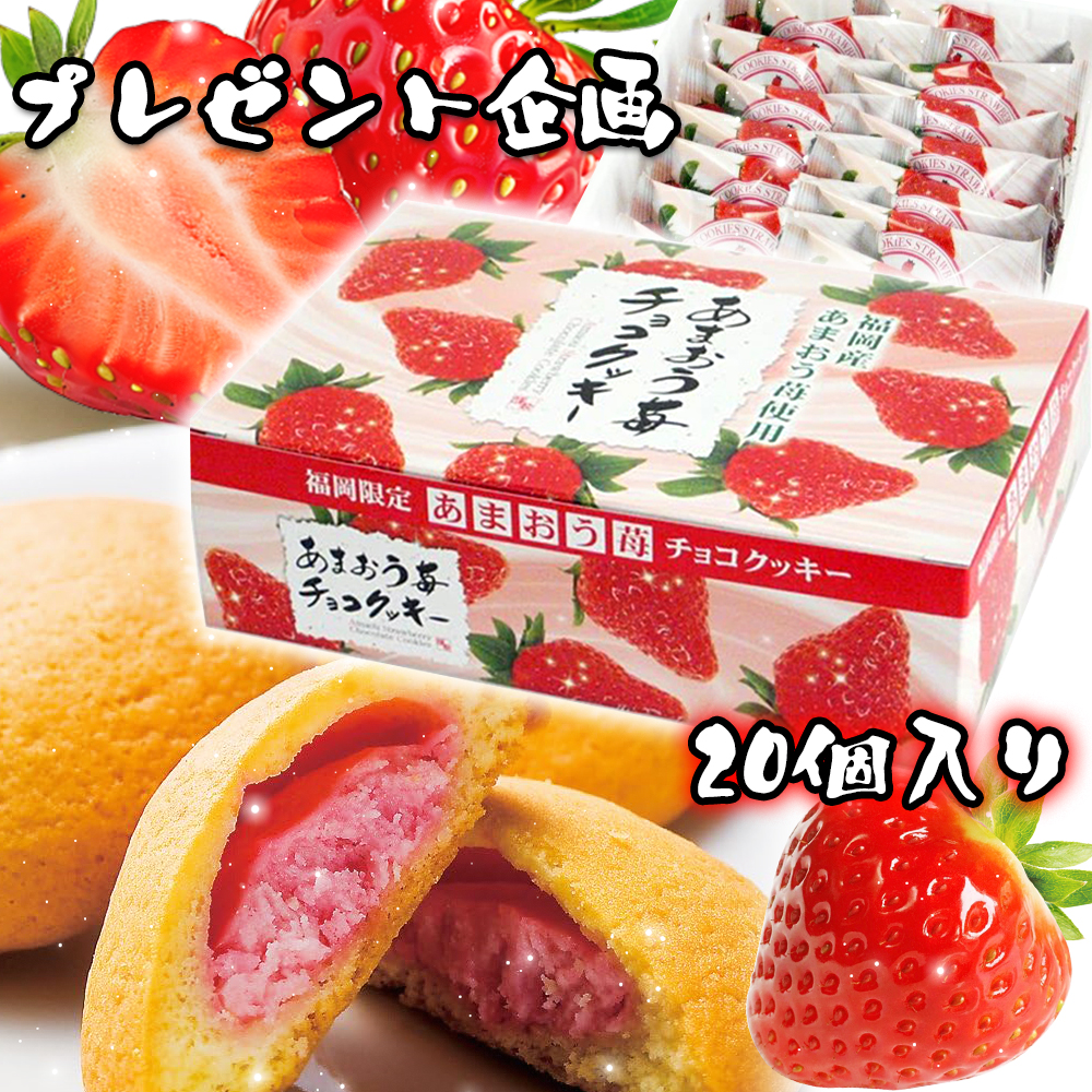 Himawarijp_'s tweet photo. ❥—✦︎✦—ヒマワリ🌻

#プレゼント企画 開催📢

✧━━━━期間限定━━━━✧
🍓ほがや 福岡土産 あまおう苺チョコクッキー 20個入り🎁
🎶抽選＆DMで②名様に #当たる🎊

応募方法🔻
✅@Himawarijp_を #フォロー
✅この投稿 #リポスト
👉〆切：11/16

#懸賞
#拡散希望
#その場で当たる
#キャンペーン https://t.co/pz2yay3eUh