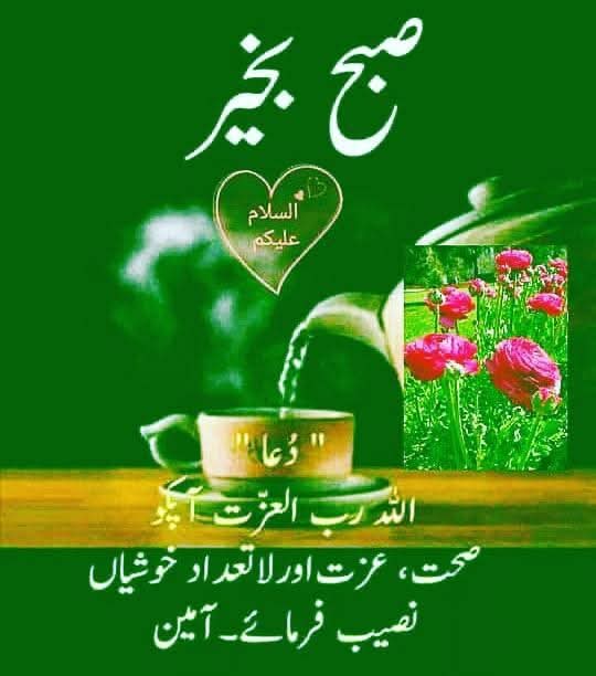 ﷽
السلام علیکم ورحمتہ اللہ وبرکاتہ 🌹

  ⁧#خاتم_النبیین_محمدﷺ⁩
پر ⁧#درود_وسلام⁩ 

الٰہی !میں تیری پناہ مانگتا/مانگتی ہوں بری عادتوں سے، برے کاموں سے ، بری خواہشوں سے اور بری بیماریوں سے۔

❍❣️ ❍ﷺ ❍❣️ ❍