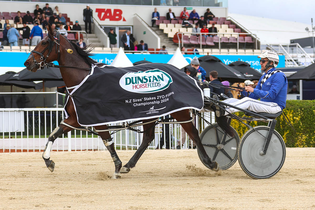 NZ Sires’ Stakes Board tweet media