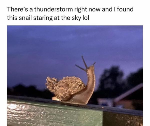 WholesomeMeme's tweet photo. https://t.co/8R3t1kcwGs