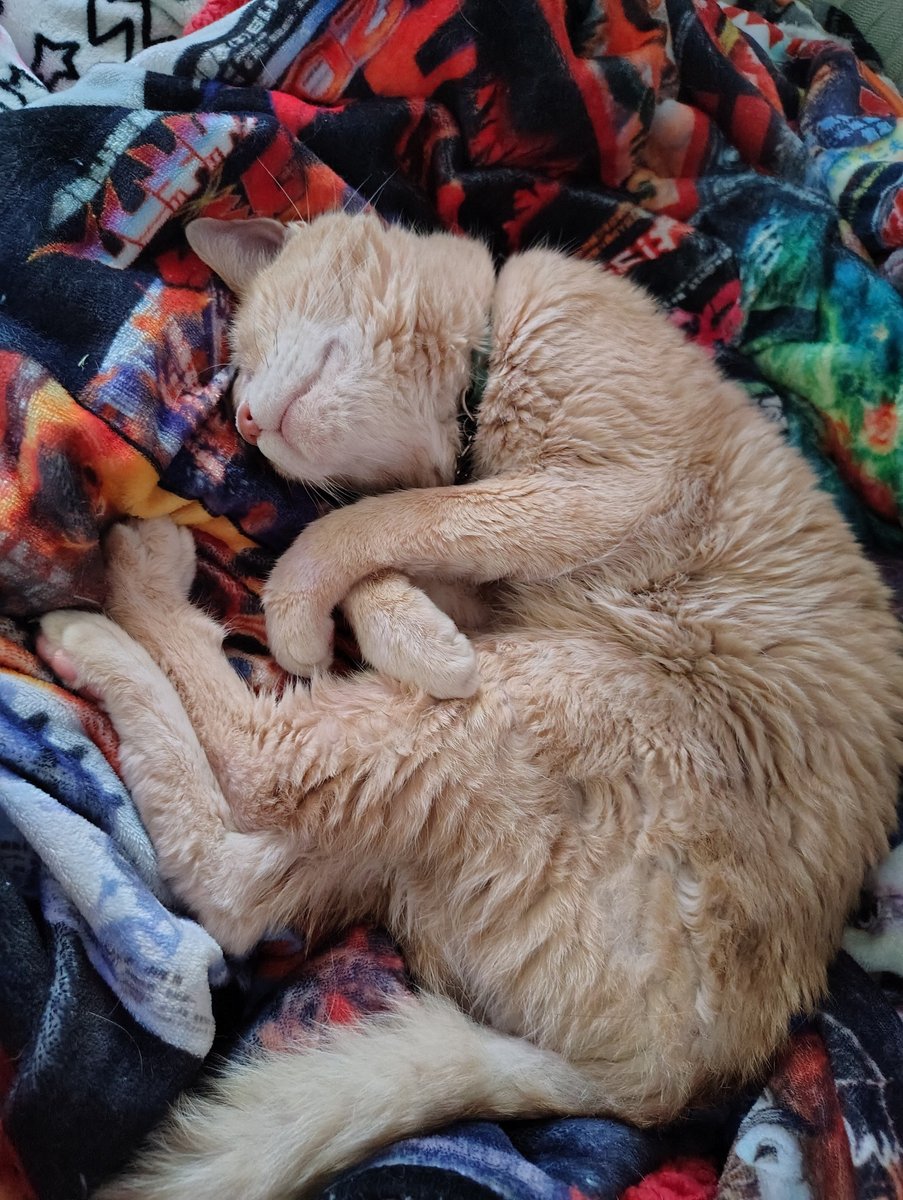 Dwindling tweet media