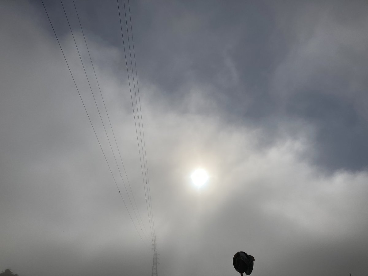 おはにょ〜ん🤭
二度寝してないのに寝坊
休みでよかったぁー
今日も走ったよ🏃‍♂️
仕事の出勤の人たちとすれちがった。
家族のために働いてるお父さんたち
みんな下を向いて歩いてぁー
今日は霧だったけど
天気が良い日は空が綺麗だから
上を向いて歩いてねー
 #Metakozo