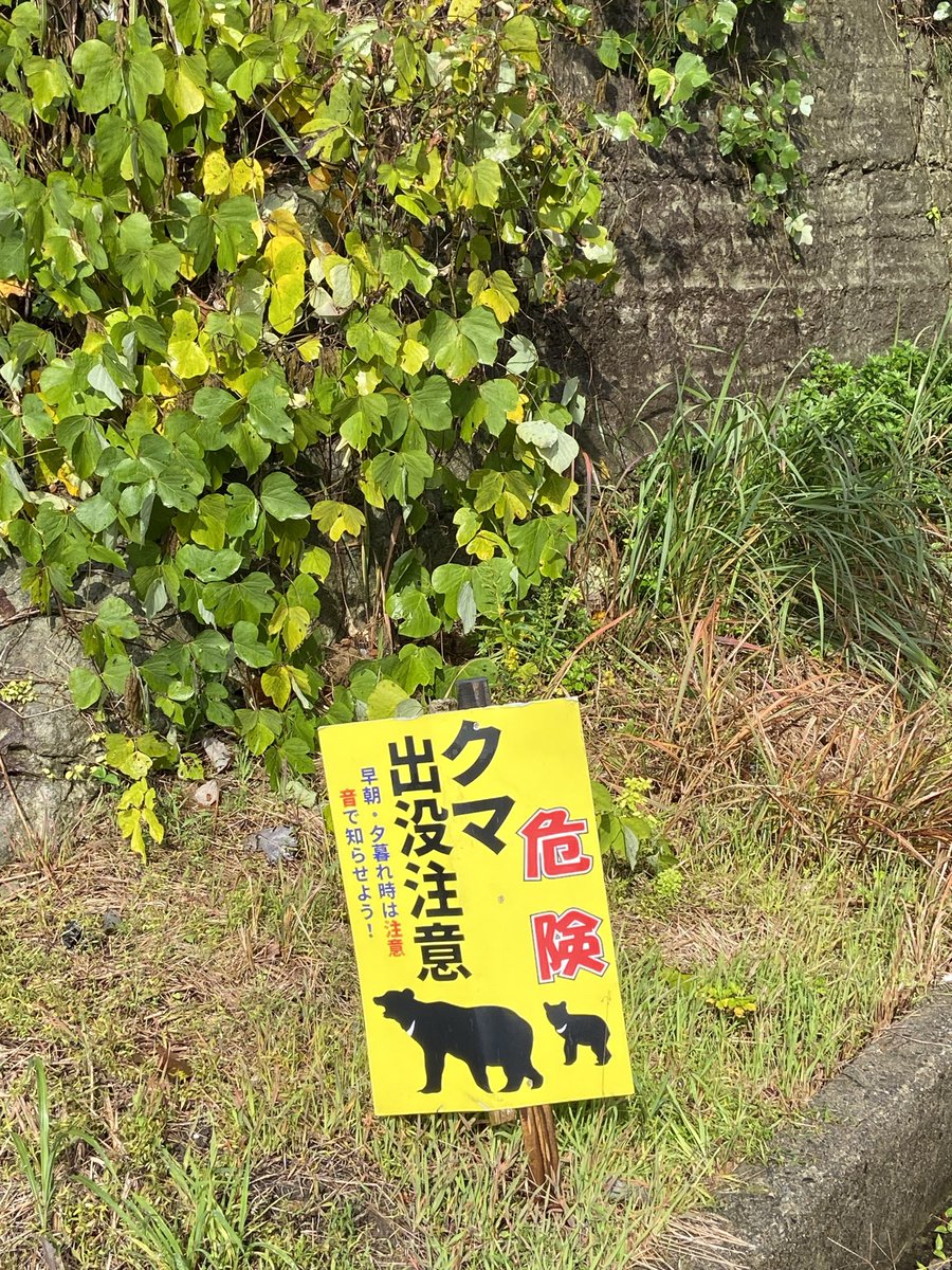 しゆうた0316 on X