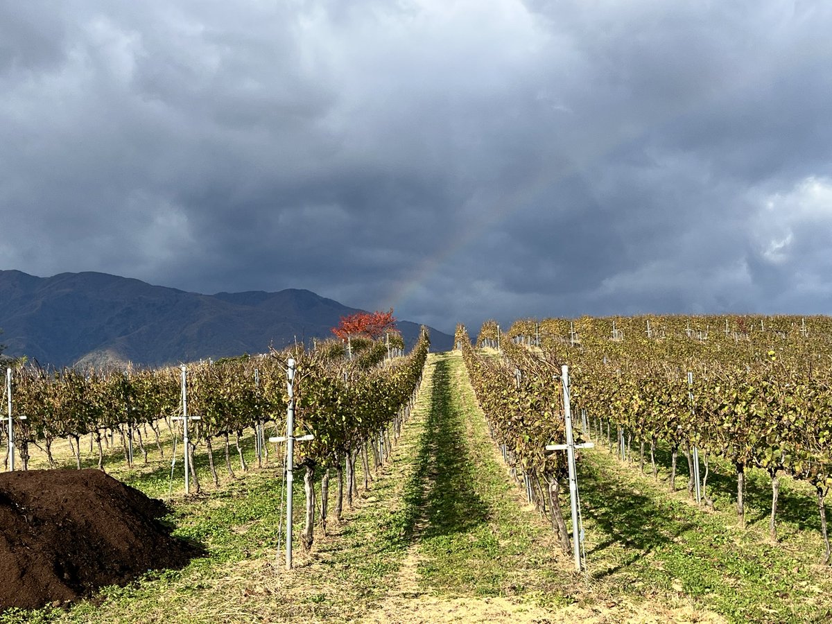 Mie Ikeno 【Domaine Mie Ikeno】 (@Lespasduchat) / Posts / X