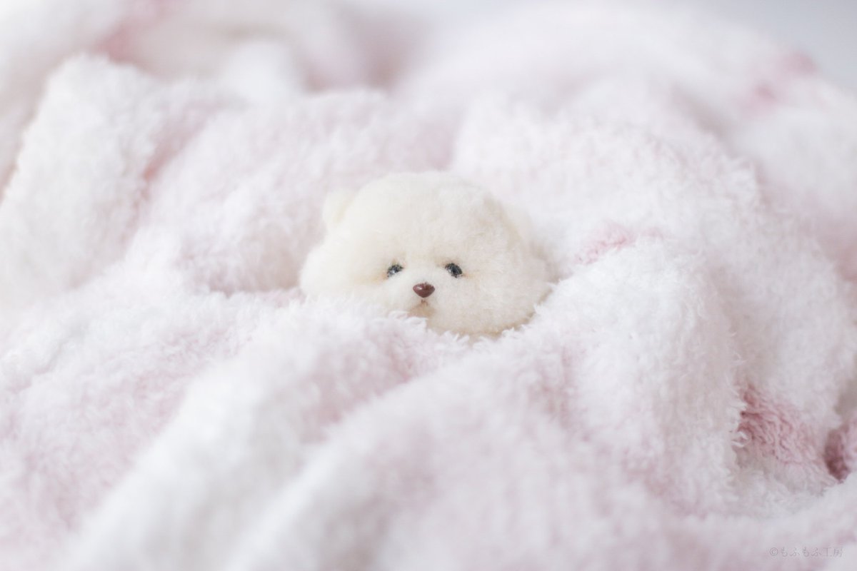 🧸もふもふ工房🧸公式🧸 on X