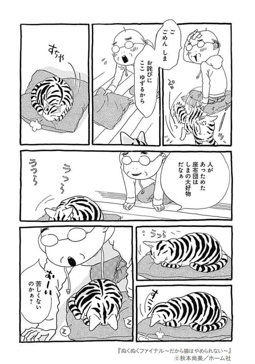 ひなねこ。ページ ねこねこ横丁 on X