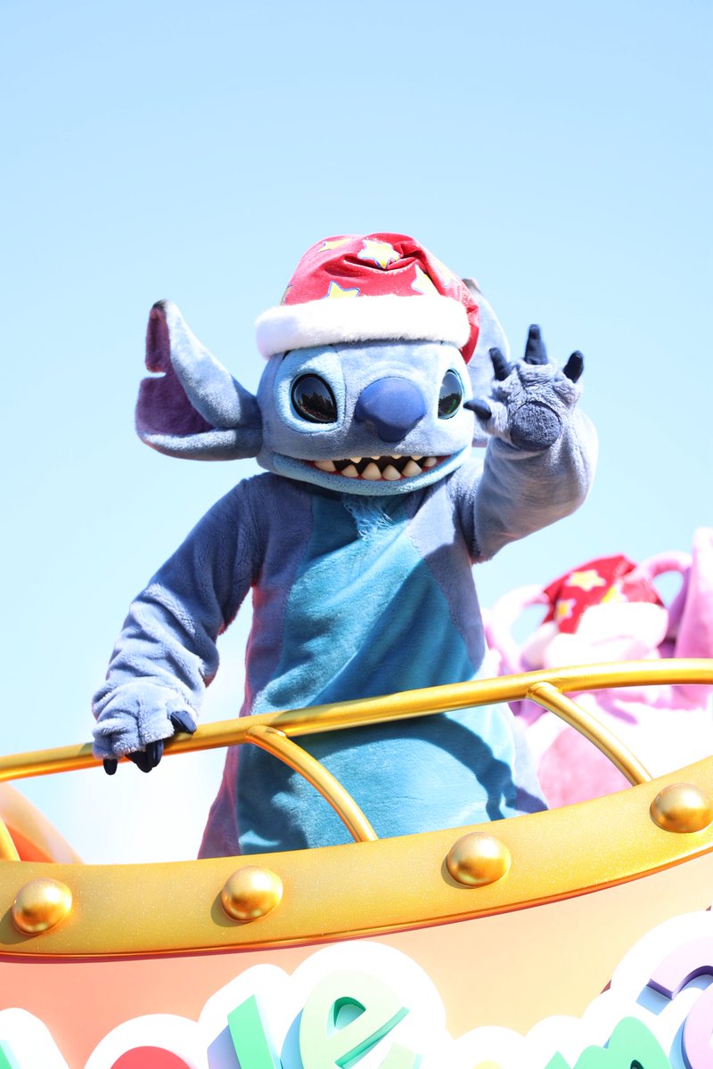 かずきD垢🏰 tweet media