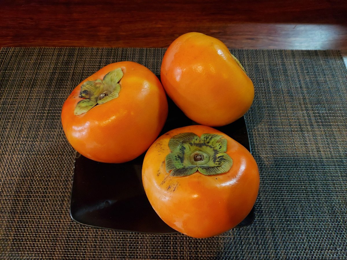 本日も元気に営業いたします

雨上がりましたね！
写真は…関係ありません(;´д｀)

水木金土は夜営業もします！
営業時間は
11:00~15:00
17:00~22:00
またはスープ切れまで

#スープカレー #カレー #奈良 #学園前 #間借り #まかない #陽平 #うさぎ #ランチ