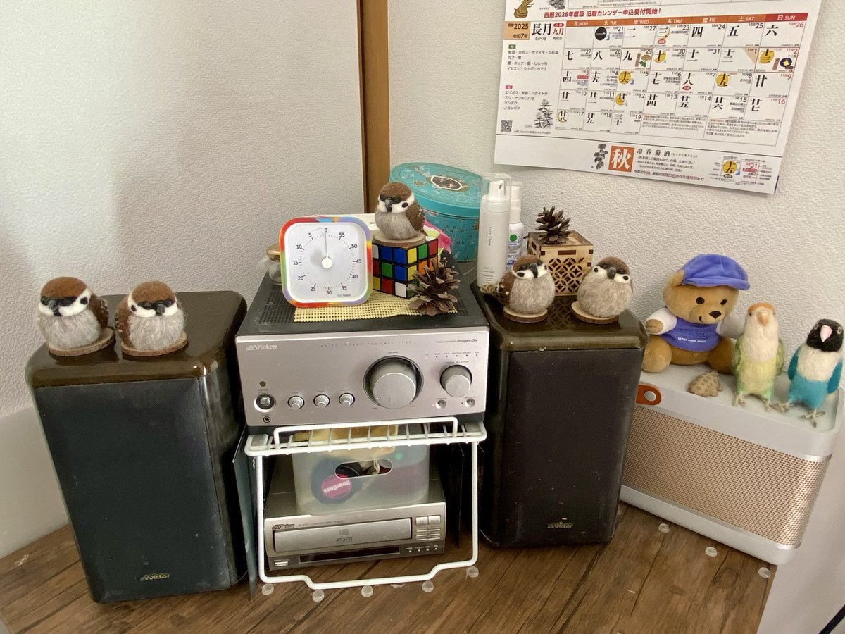 カメちゃん わかめちゃん1号🌗鬼ツイ・インスタ on X