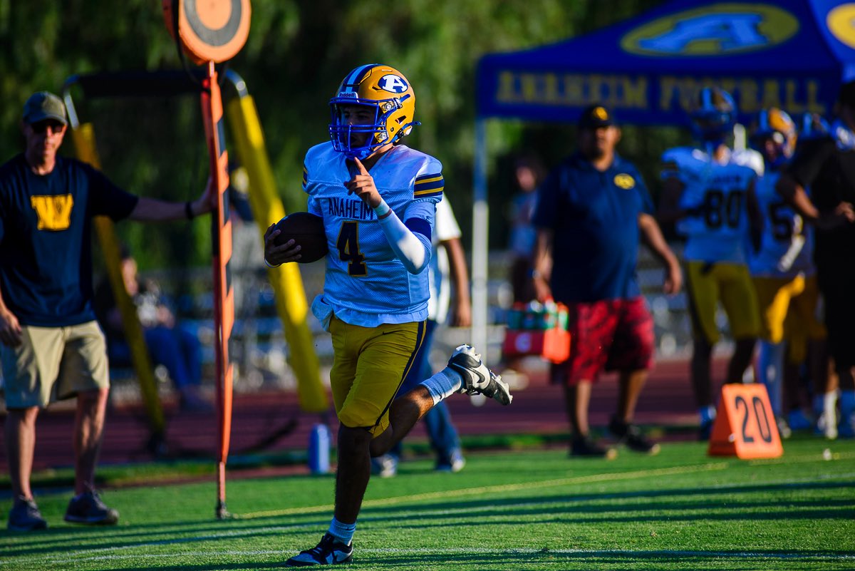 Chavezimages.com tweet media