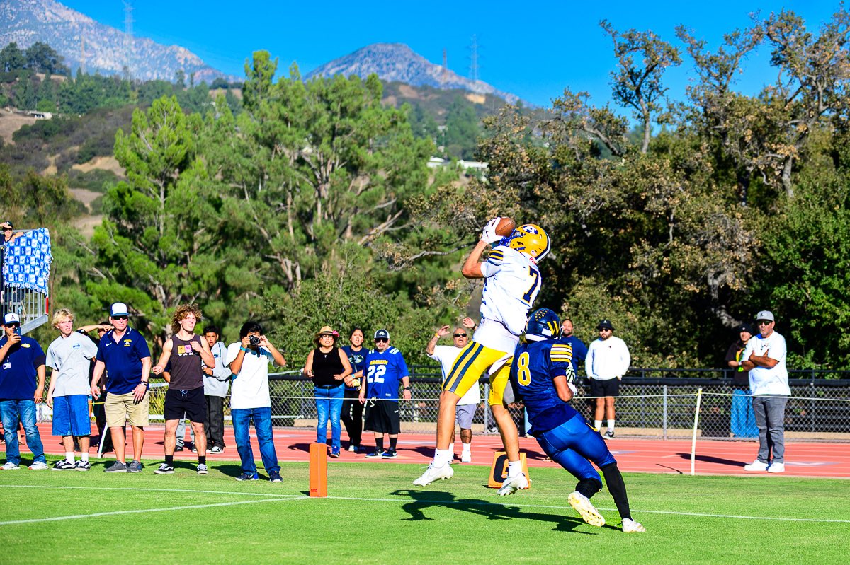 Chavezimages.com tweet media