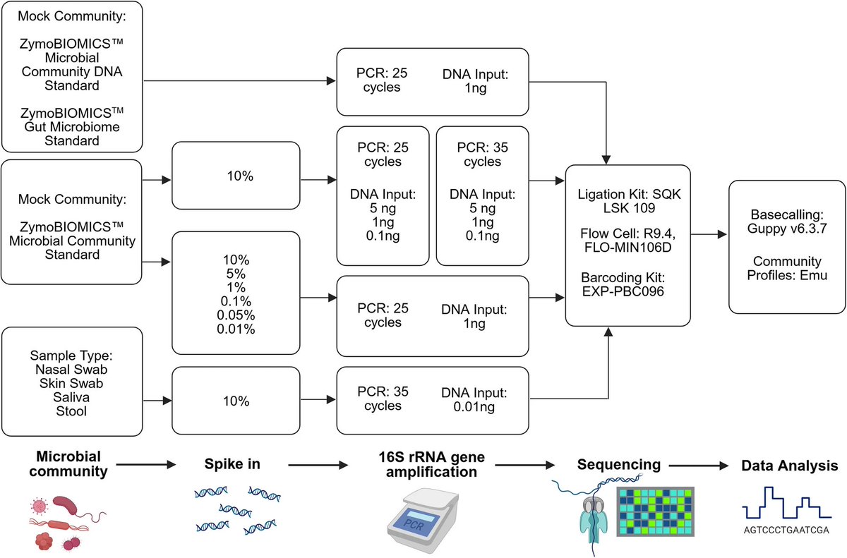 benagen3571's tweet photo. Quantitative profiling of bacterial communities via full length 16S rRNA gene sequencing with internal controls: optimization and validation across diverse human microbiomes. #nanopore #16S https://t.co/NbBXuYnOc1 https://t.co/O6kh8n5Nzh