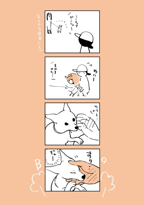 今日の散歩、効きすぎました、、 