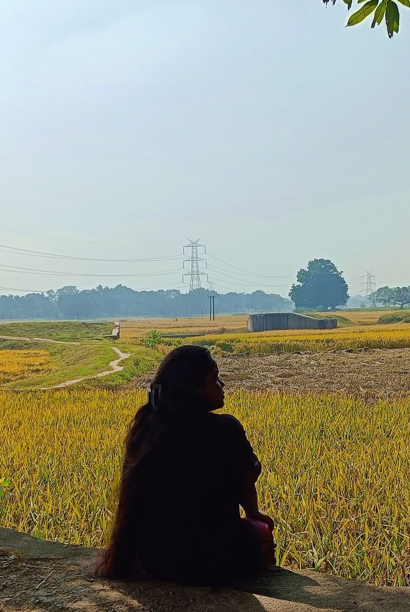 दूर तलक शांति-ही-शांति,
फिर बीच में ये तारों का जंजाल कैसा..!?