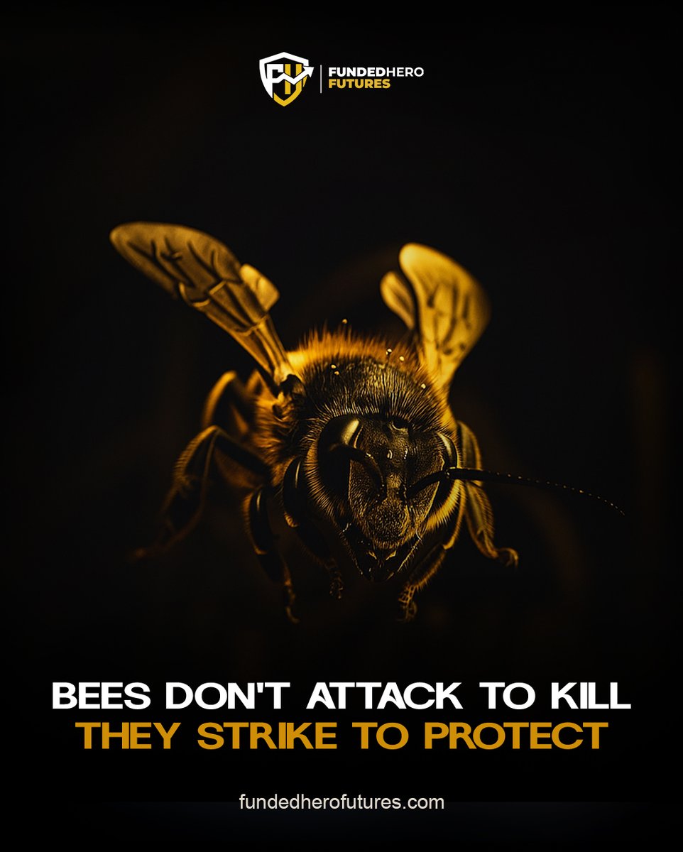 fherofutures's tweet image. Stay focused. Stay disciplined.
A bee doesn’t react out of fear,  it reacts with purpose.
Trade the same way: not to chase, but to protect your capital and your edge.

#fundedherofutures #staysharp #disciplinewins #smarttrader