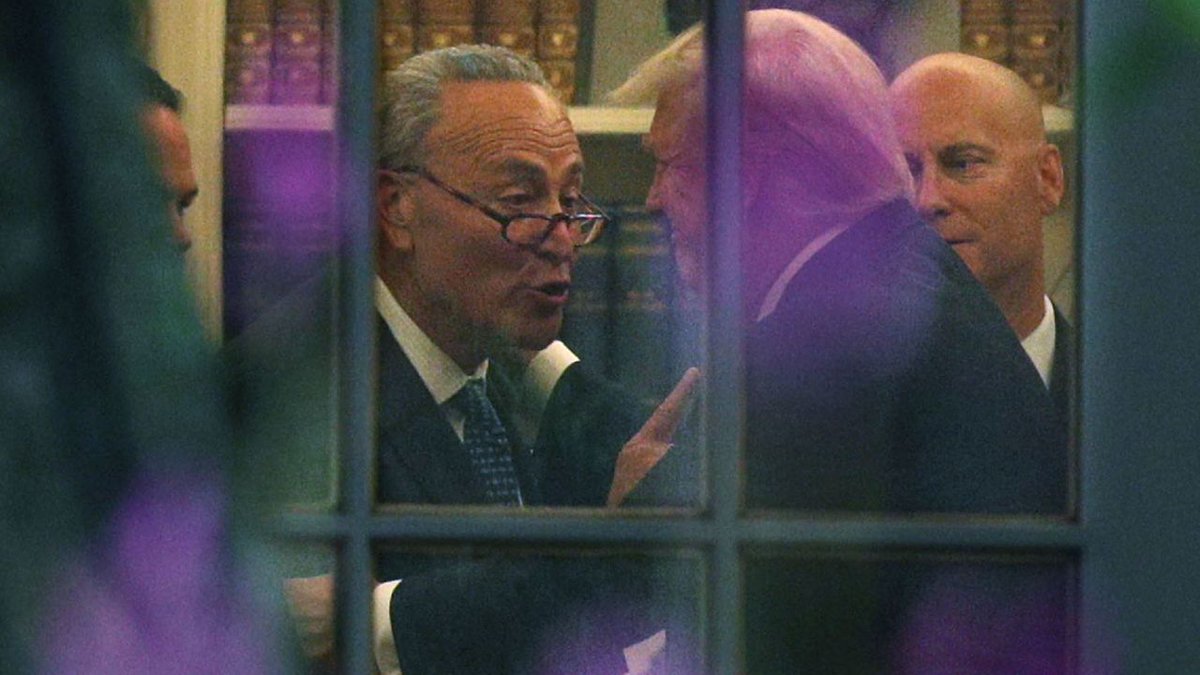 Schumer is Controlled Opposition.
