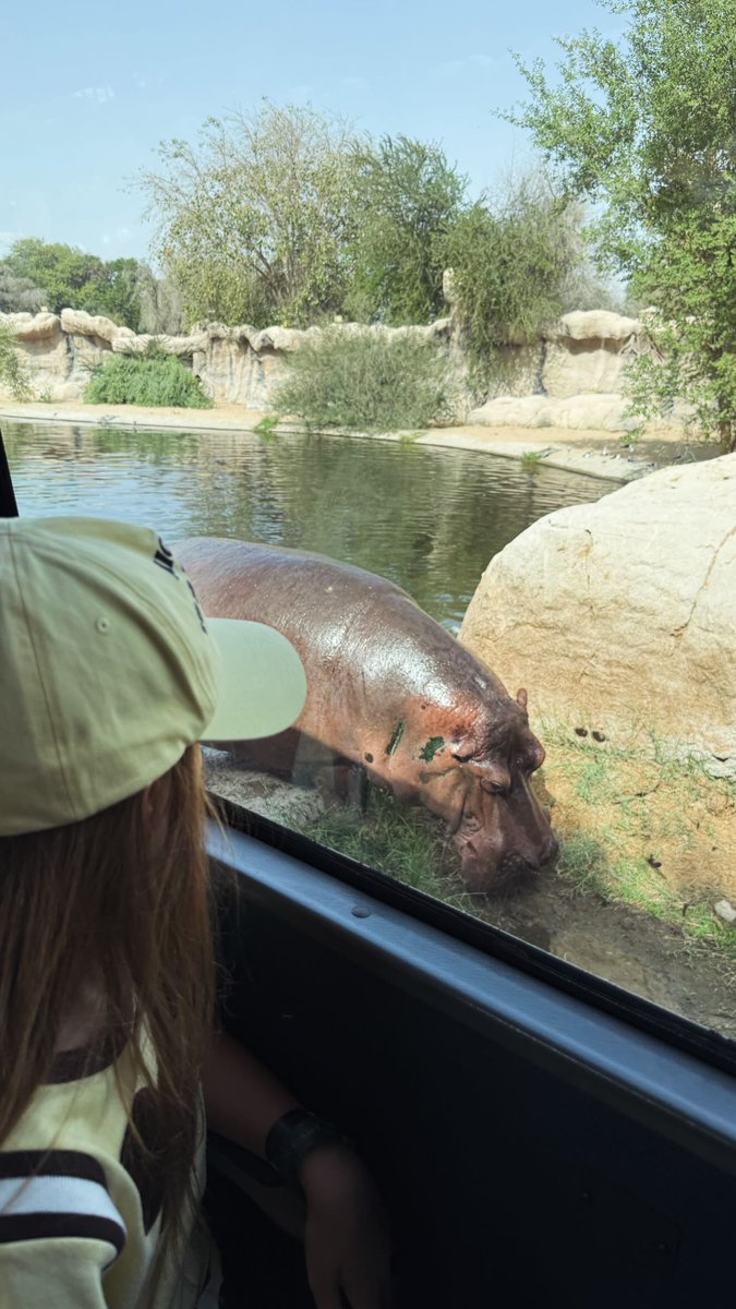 Affleck10608's tweet image. Roaming wild and loving every moment at Dubai Safari Park😍 #familyfuntime
