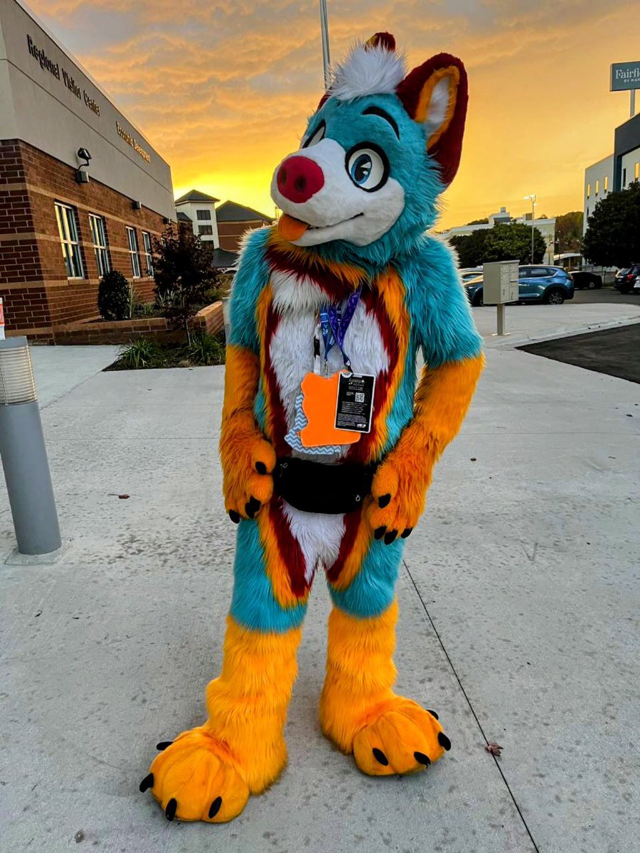 Back home safely from #CarolinaFurfare. There were a few ups and downs for me personally, but overall I enjoyed my time there! I hope to make it back next year as I think this con has a lot of potential. Thank you all for the great memories 😊💙🐾 #CFF2025

📸: <a href="/NurkoBear/">Nurko/Malibu/Ace</a>