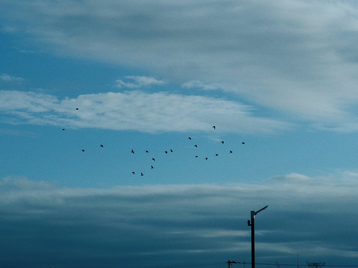 moonly0203's tweet image. 