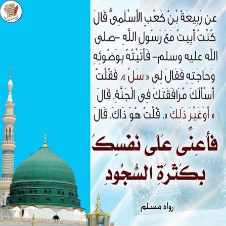 سيد tweet media