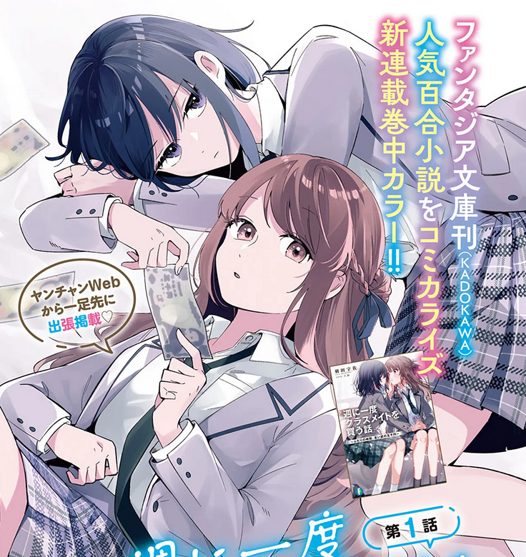 javafefe's tweet image. starting Shuukura!