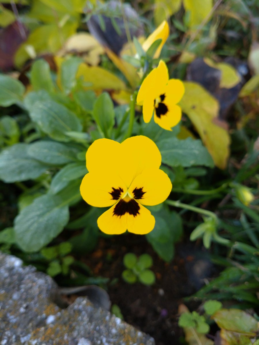 みっちゃん on X