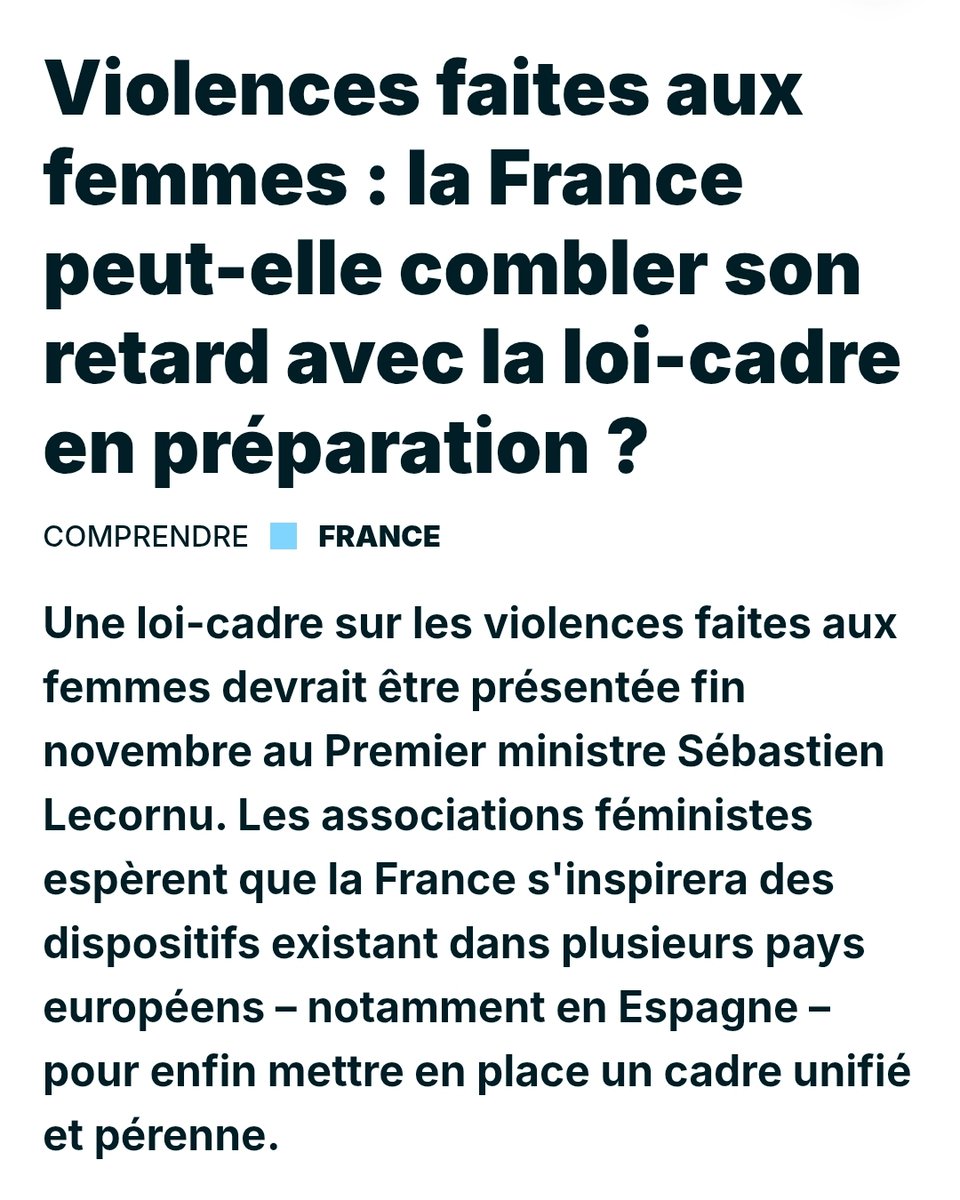 Femmes_Dem's tweet image. 2️⃣ Une loi-cadre sur les #ViolencesFaitesAuxFemmes devrait être présentée fin novembre au 1er ministre Sébastien Lecornu.
Les associations féministes espèrent que la France 🇫🇷 s’inspirera de l’Espagne 🇪🇸 et d’autres pays européens pour instaurer enfin un cadre unifié et pérenne.