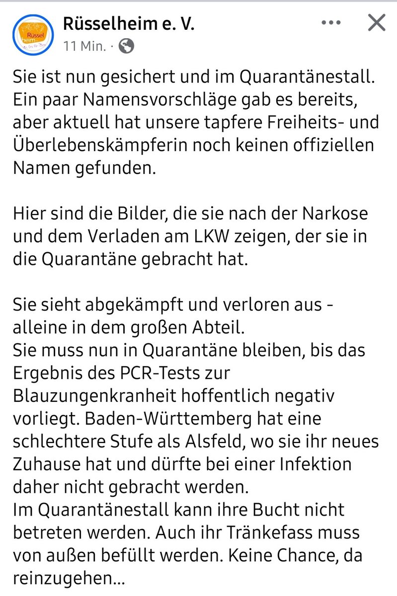 Update! Wir konnten sie sichern! 
Sie ist nun im Quarantänestall. 
Bitte unterstützt uns! 🙏
betterplace.org/de/projects/16…