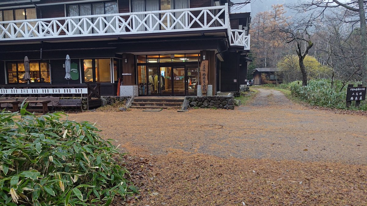 お早うございます!　小雨ですが風が強いです。気温は4℃。冬型になり徐々に下がりそうで雪になるかも知れません。カラマツも徐々に葉を落としています。