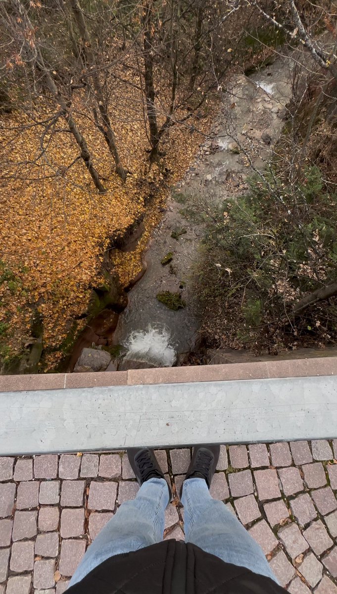 حين يقع الناس في حب أزهارك وليس جذورك لن يعرفوا ماذا يفعلون حين يأتي الخريف!؟