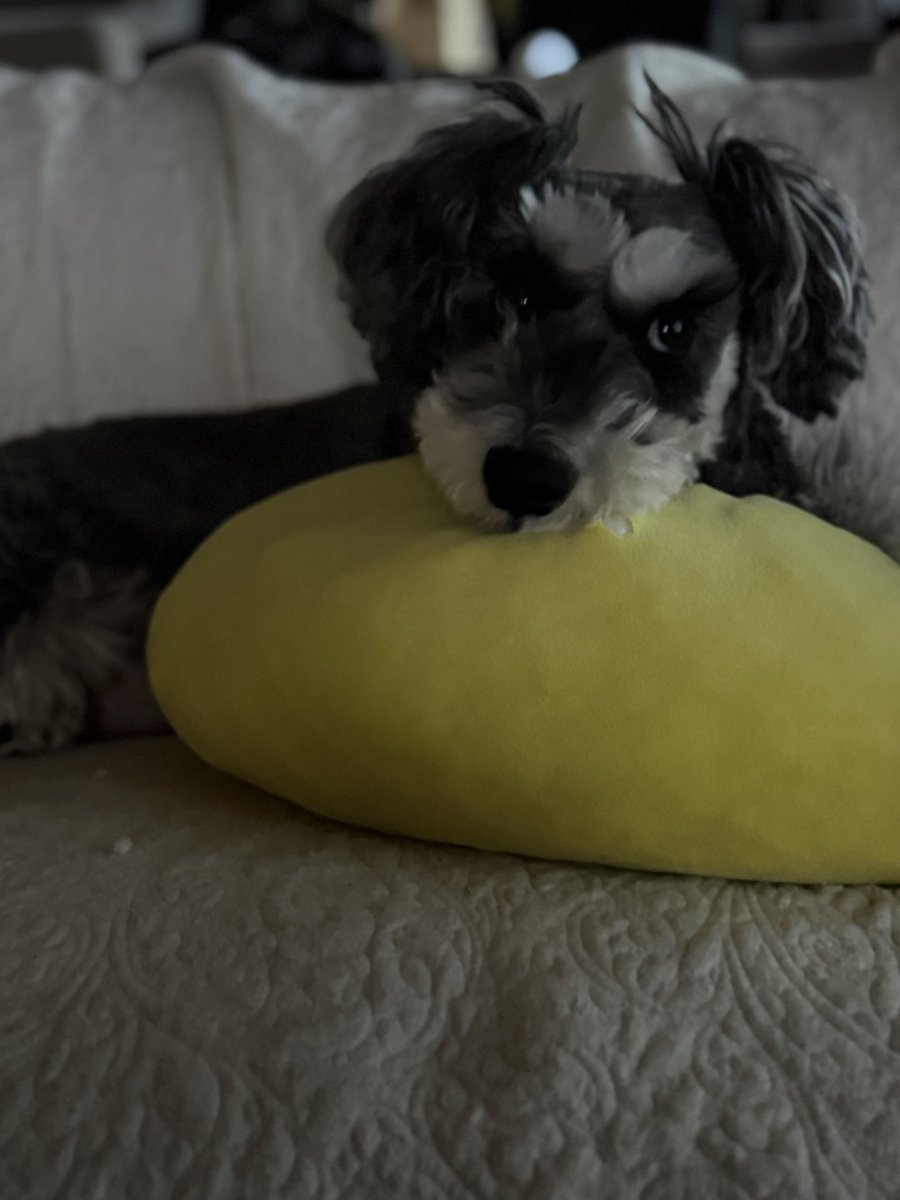 おはようございます☀
まだ暗いね